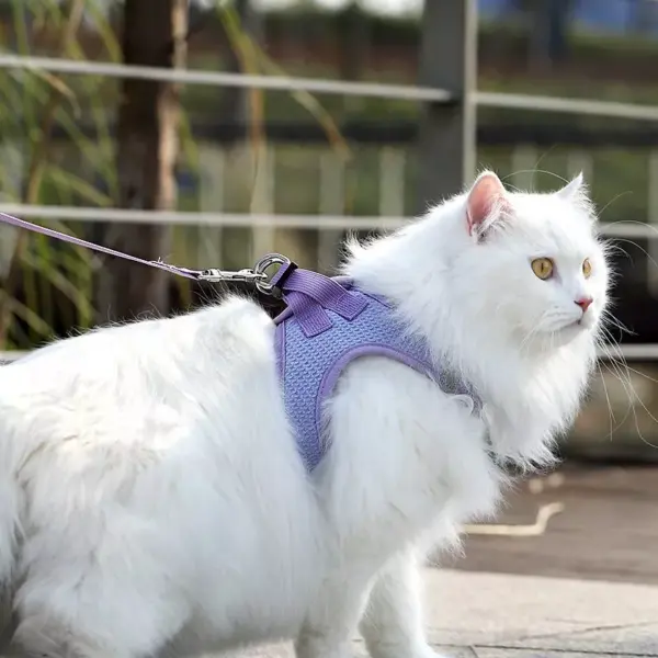 Reflective Cat & Dog Harness Leash Set