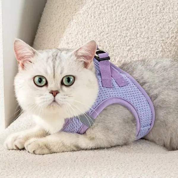 Reflective Cat & Dog Harness Leash Set