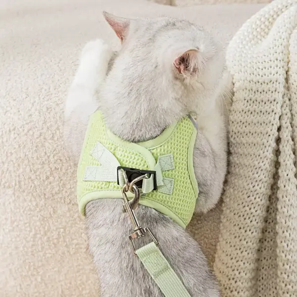 Reflective Cat & Dog Harness Leash Set