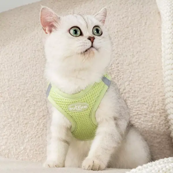 Reflective Cat & Dog Harness Leash Set