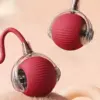 100801-904d14.webp Interactive USB Rechargeable Rolling Ball Toy for Cats