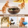 95570-bdf987.webp Magic Foldable Cat Scratch Board with Bell