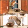 95570-e3a035.webp Magic Foldable Cat Scratch Board with Bell