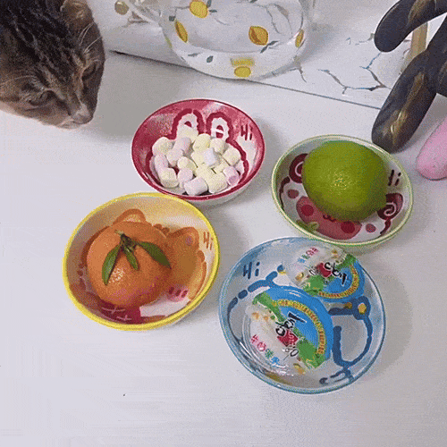 Charming Animal Ceramic Dipping Dishes