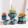 107461-33d53c.webp Elegant Glazed Ceramic Pots for Succulents and Small Plants