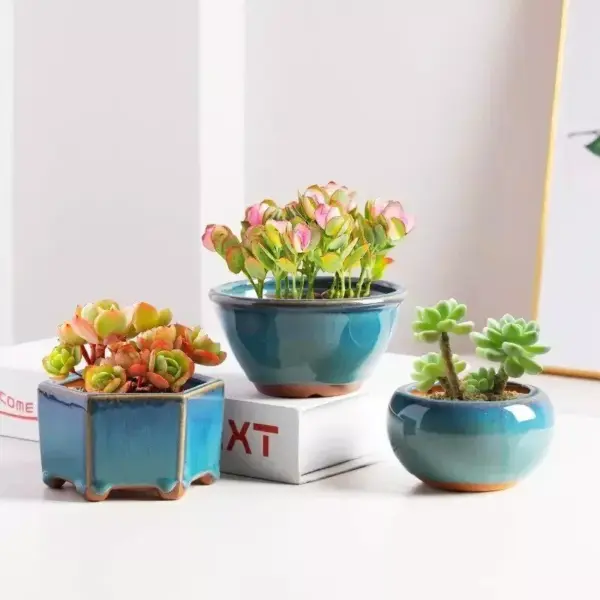 107461-b9aa6a.webp Elegant Glazed Ceramic Pots for Succulents and Small Plants