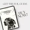 113344-3bcca1.webp Fur, Paws, and a Fresh Home – How to Clean with Pets in the House | Digital Cleaning Guide for Pet Owners, eBook for Pet-Friendly Homes, Step-by-Step Pet Cleaning Routine