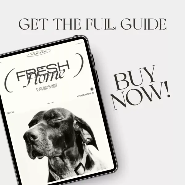 113344-3bcca1.webp Fur, Paws, and a Fresh Home – How to Clean with Pets in the House | Digital Cleaning Guide for Pet Owners, eBook for Pet-Friendly Homes, Step-by-Step Pet Cleaning Routine
