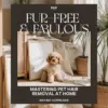 Fur-Free & Fabulous: Mastering Pet Hair Removal at Home | Ultimate Guide on How to Remove Pet Hair from Furniture | Digital Download eBook for Pet Owners
