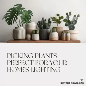113675-817579.webp Picking Plants Perfect for Your Home’s Lighting | AI Plant Identification Checklist | How to Use AI to Identify Plants for Your Home's Lighting | Indoor Plant Matching Guide for Beginners
