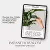 113675-fd9a8f.webp Picking Plants Perfect for Your Home’s Lighting | AI Plant Identification Checklist | How to Use AI to Identify Plants for Your Home's Lighting | Indoor Plant Matching Guide for Beginners